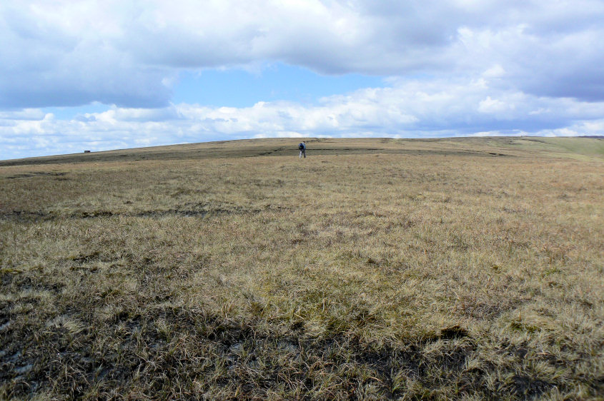 Brown Knoll Brown Knoll